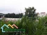 Đất nền rộng giá rẻ đường ô tô gần các trường đại học Đà Lạt – Bất Động Sản Liên Minh