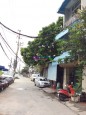Đường Long Biên, Long Biên, Hà Nội