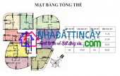 Phố Tạ Quang Bửu, Quận 8, TP. Hồ Chí Minh
